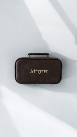 תיק אתרוג 108