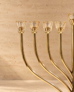 ⁦חנוכיית דגם תמר⁩ – תמונה ⁦2⁩