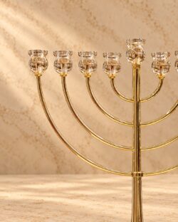 ⁦חנוכיית דגם אליה⁩ – תמונה ⁦2⁩