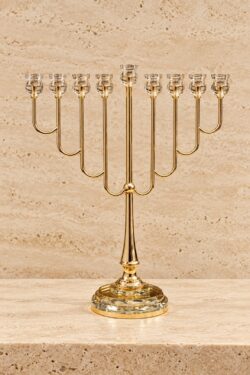 חנוכיית דגם ינון