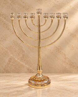 חנוכיית דגם אליה