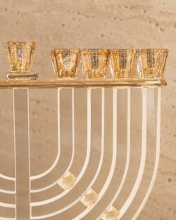 ⁦חנוכיית דגם יגל⁩ – תמונה ⁦2⁩