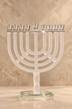 חנוכיית דגם אסיה