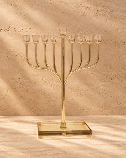 חנוכיית דגם ברכה