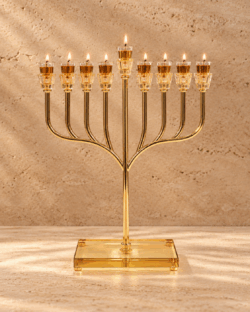 ⁦חנוכיית דגם ברכה⁩ – תמונה ⁦2⁩