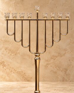 ⁦חנוכיית דגם מור⁩ – תמונה ⁦2⁩